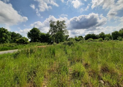 działka na sprzedaż - Mykanów, Borowno