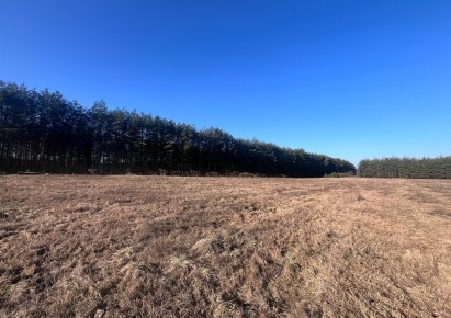 działka na sprzedaż - Konopiska, Aleksandria