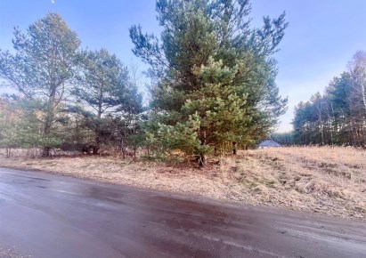 działka na sprzedaż - Konopiska